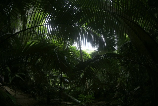 ท่องดินแดน โลกจูราสิคพาร์คเมืองอุทัย