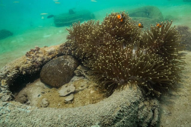 ขยะใต้ "ทะเลพีพี" ครึ่งตัน ตั้งแต่ขวดแก้วยันยางรถยนต์