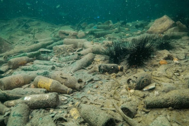 ขยะใต้ "ทะเลพีพี" ครึ่งตัน ตั้งแต่ขวดแก้วยันยางรถยนต์