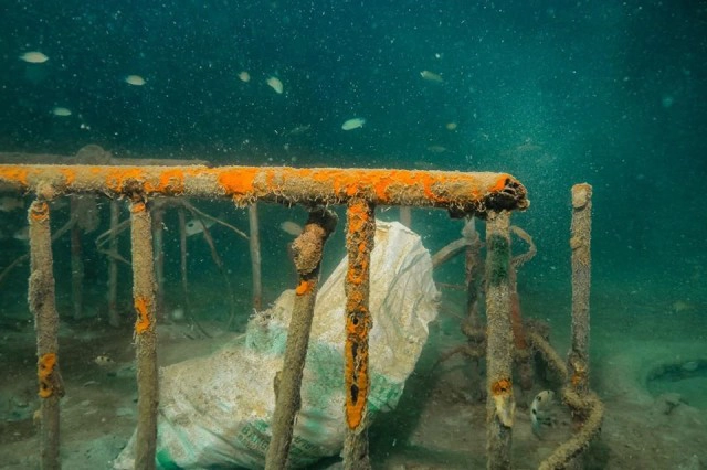ขยะใต้ "ทะเลพีพี" ครึ่งตัน ตั้งแต่ขวดแก้วยันยางรถยนต์