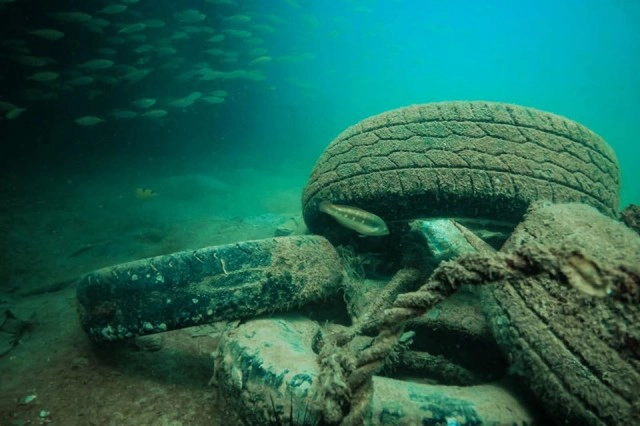 ขยะใต้ "ทะเลพีพี" ครึ่งตัน ตั้งแต่ขวดแก้วยันยางรถยนต์