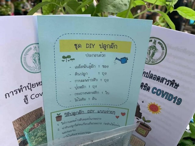 กทม.แจกต้นกล้าผักสวนครัวกว่า 2 หมื่นต้นให้ชาวกรุงเทพฯ