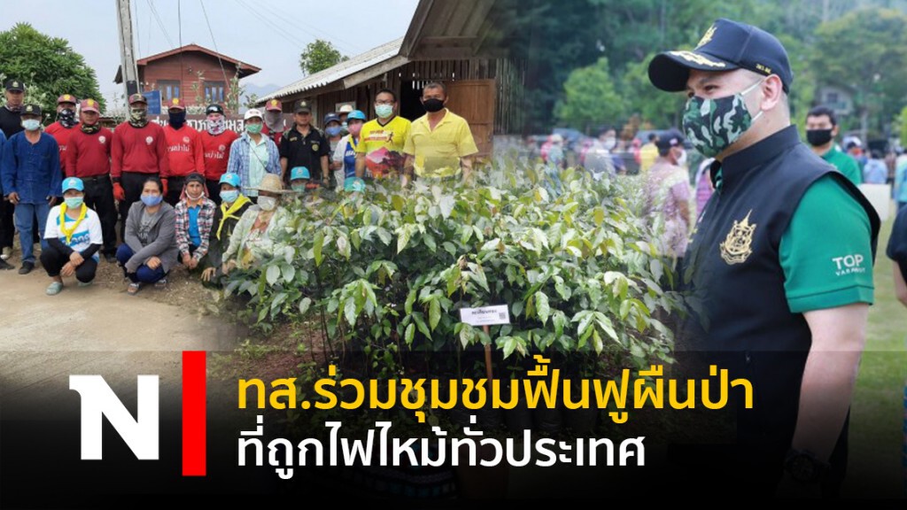 ทส.ร่วมชุมชมฟื้นฟูผืนป่าที่ถูกไฟไหม้ทั่วประเทศ ทส.ร่วมชุมชมฟื้นฟูผืนป่าที่ถูกไฟไหม้ทั่วประเทศ
