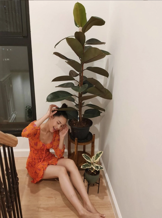 "ญาญ่า อุรัสยา" กับต้นไม้ฟอกอากาศในบ้าน