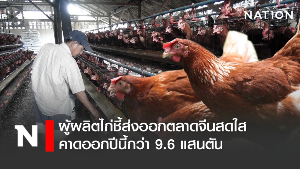 ผู้ผลิตไก่ฯ ชี้ส่งออกตลาดจีนสดใสคาดออกปีนี้กว่า 9.6 แสนตัน