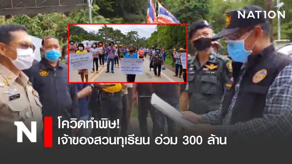 โควิดทำพิษ! เจ้าของสวนทุเรียน อ่วม 300 ล้าน