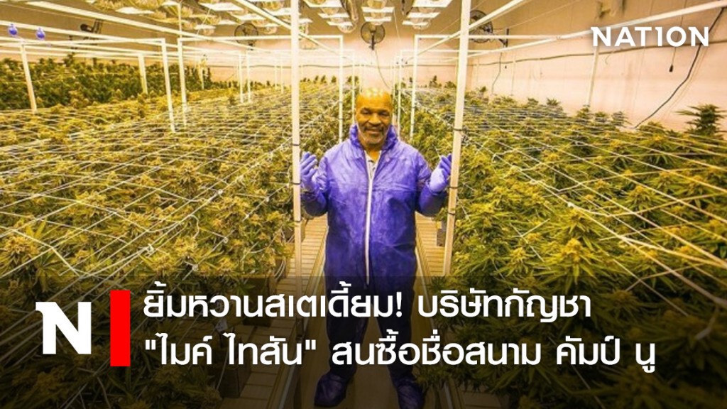 ยิ้มหวานสเตเดี้ยม! บริษัทกัญชา "ไมค์ ไทสัน" สนซื้อชื่อสนาม คัมป์ นู