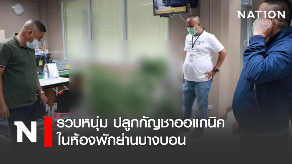 รวบหนุ่ม ปลูกกัญชาออแกนิคในห้องพักย่านบางบอน