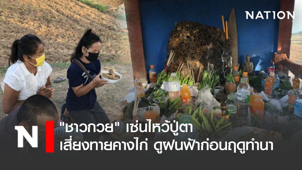 "ชาวกวย" เซ่นไหว้ปู่ตา เสี่ยงทายคางไก่ ดูฝนฟ้าก่อนฤดูทำนา