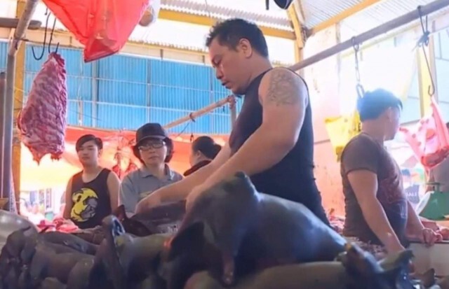 ตลาดสดอินโดฯขายค้างคาวเมินโควิด-19