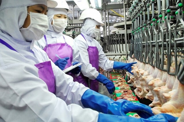 ผู้ผลิตไก่ฯ ชี้ส่งออกตลาดจีนสดใสคาดออกปีนี้กว่า 9.6 แสนตัน