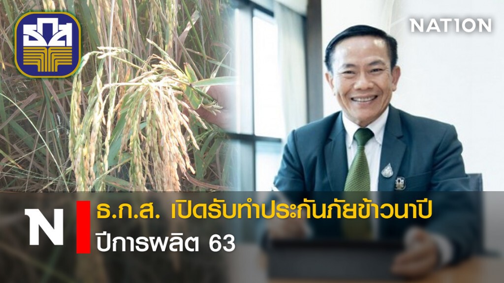 ธ.ก.ส. เปิดรับทำประกันภัยข้าวนาปี ปีการผลิต 63