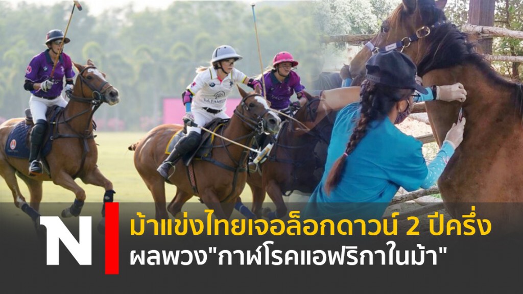 ม้าแข่งไทยเจอล็อกดาวน์ 2 ปีครึ่ง ผลพวง "กาฬโรคแอฟริกาในม้า"