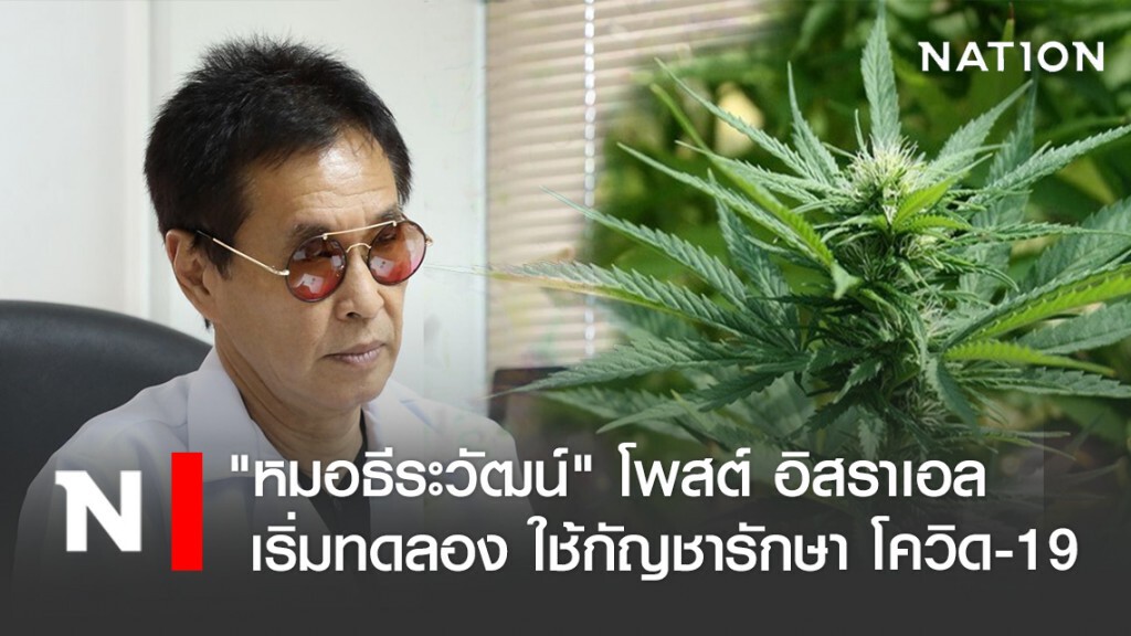 "หมอธีระวัฒน์" โพสต์ อิสราเอล เริ่มทดลองใช้กัญชารักษาโควิด