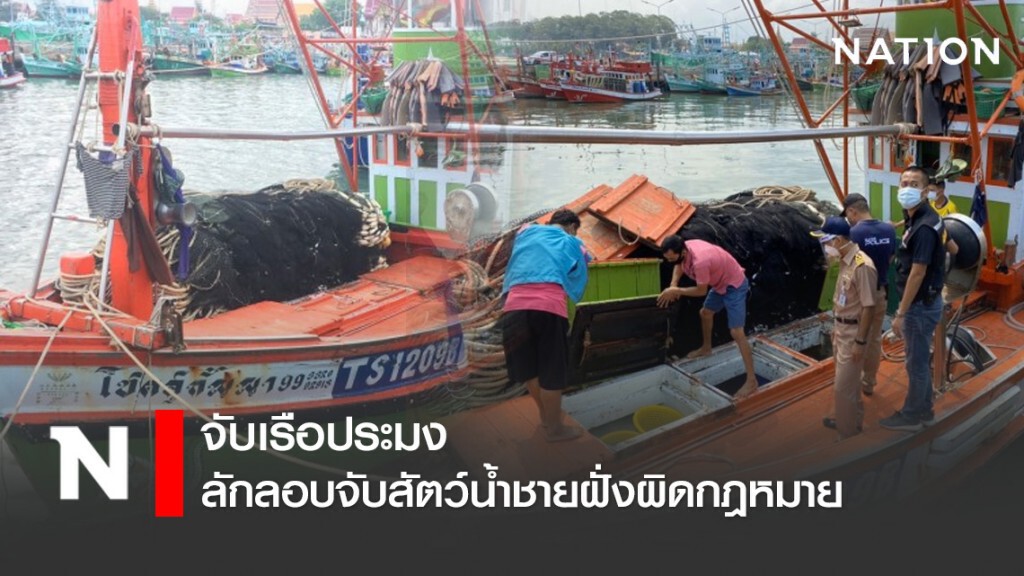 จับเรือประมง ลักลอบจับสัตว์น้ำชายฝั่งผิดกฎหมาย