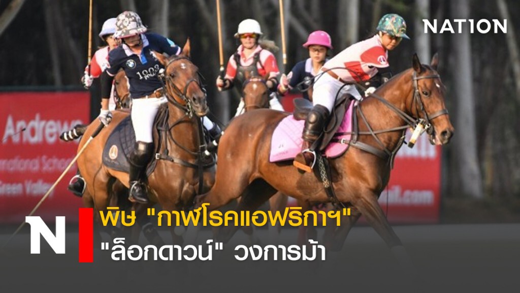 พิษ"กาฬโรคแอฟริกาฯ"ล็อกดาวน์"วงการม้า