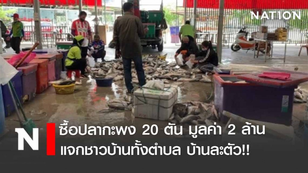 ซื้อปลากะพง 20 ตัน มูลค่า 2 ล้าน แจกชาวบ้านทั้งตำบลบ้านละตัว ซื้อปลากะพง 20 ตัน มูลค่า 2 ล้าน แจกชาวบ้านทั้งตำบลบ้านละตัว