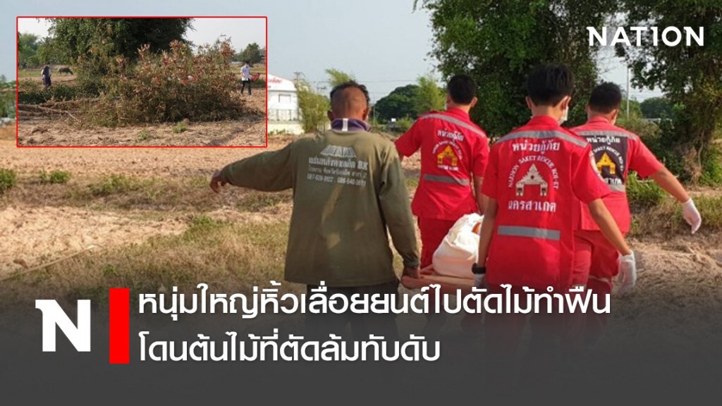 หนุ่มใหญ่หิ้วเลื่อยยนต์ไปตัดไม้ทำฟืน โดนต้นไม้ที่ตัดล้มทับดับ