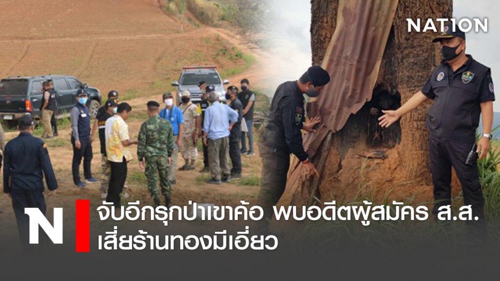 จับอีกรุกป่าเขาค้อพบอดีตผู้สมัคร ส.ส.- เสี่ยร้านทองมีเอี่ยว