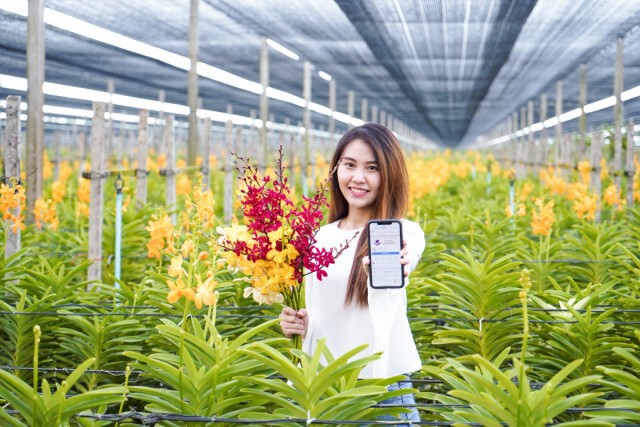 ผู้ส่งออกกล้วยไม้พลิกวิกฤติขายออนไลน์สู้โควิด-19