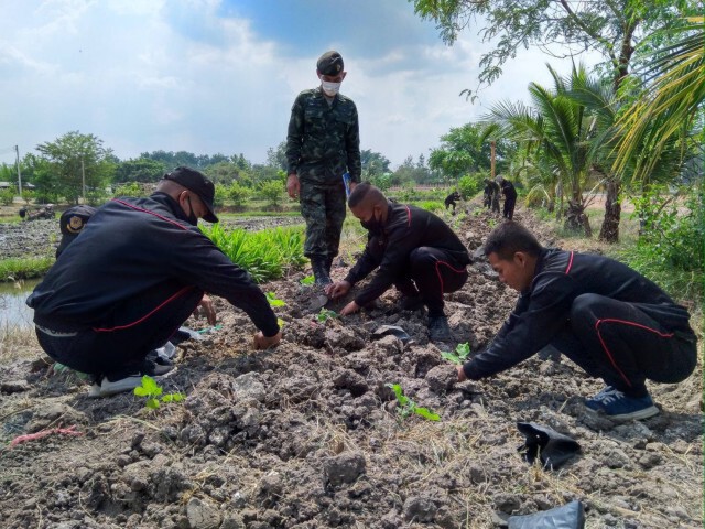 พลทหาร ปลื้มปิติ รับพระราชทานเมล็ดพันธุ์ผัก กรมสมเด็จพระเทพฯ