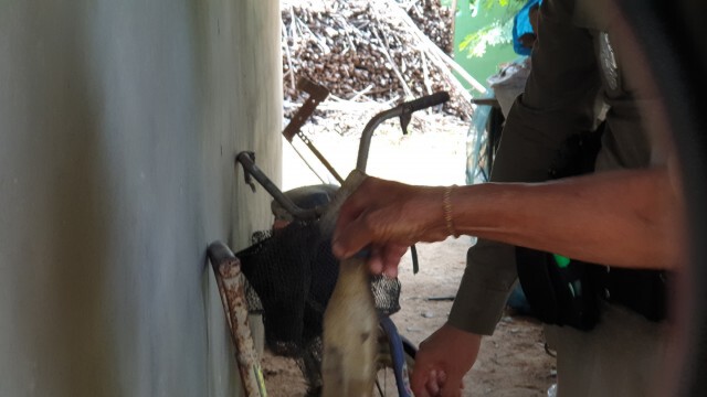 ตรวจบ้านไฟไหม้ปริศนา คาดเกิดจากฝีมือมนุษย์