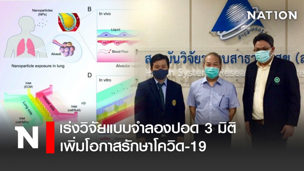 เร่งวิจัยแบบจำลองปอด 3 มิติ เพิ่มโอกาสรักษาโควิด-19