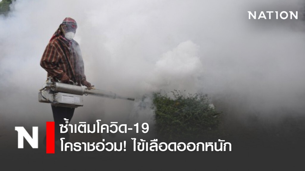โคราชอ่วมไข้เลือดออกหนักป่วย 700 ตายแล้ว 1 ซ้ำเติมโควิด-19