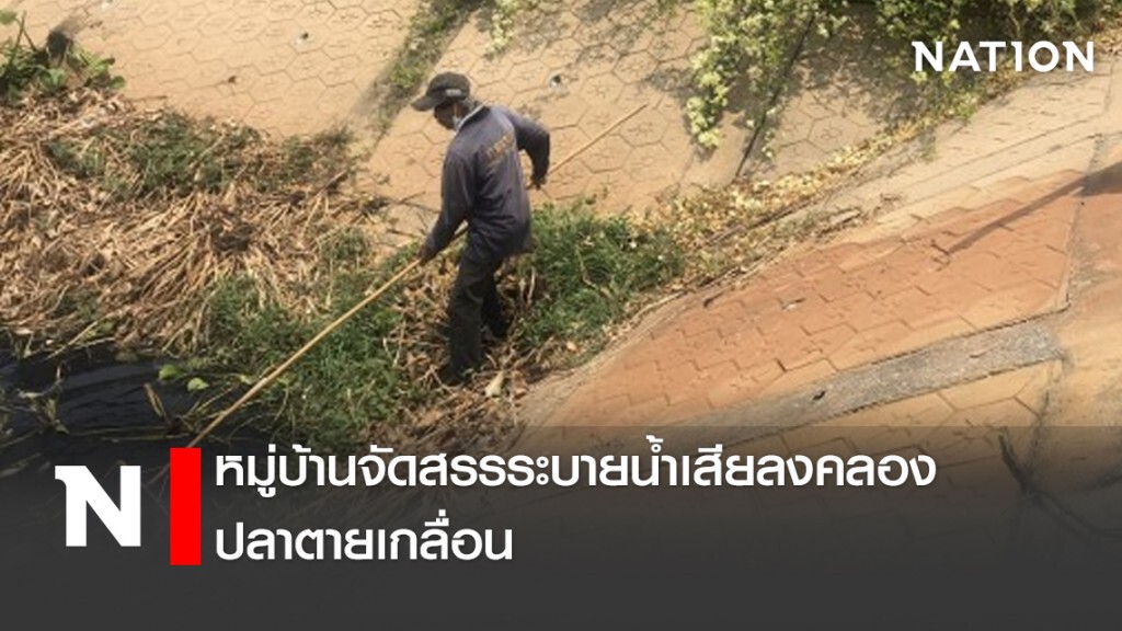 หมู่บ้านจัดสรรระบายน้ำเสียลงคลอง ปลาตายเกลื่อน หมู่บ้านจัดสรรระบายน้ำเสียลงคลอง ปลาตายเกลื่อน