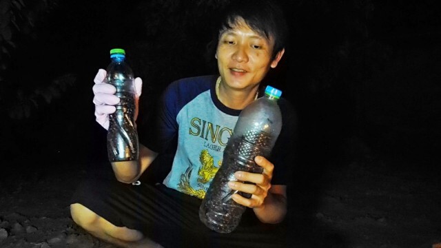หนุ่มสู้ชีวิตเก็บ"แมงมัน"ขายสร้างรายได้เสริมช่วงโควิดระบาด