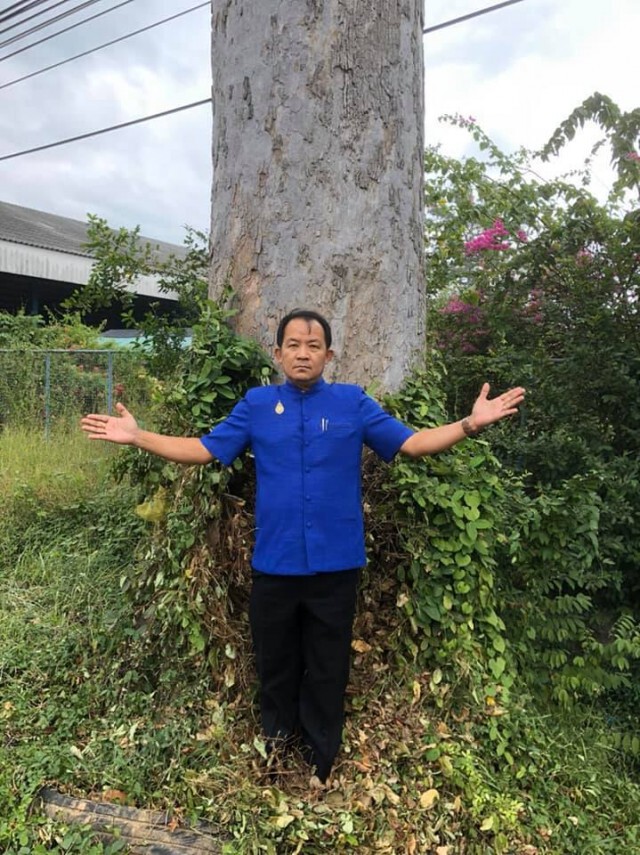 ข่มเหงจิตใจประชาชน ค้านแขวงทางหลวงยโสธร ตัดต้นยางนา 100 ปีเพื่อขยายถนน