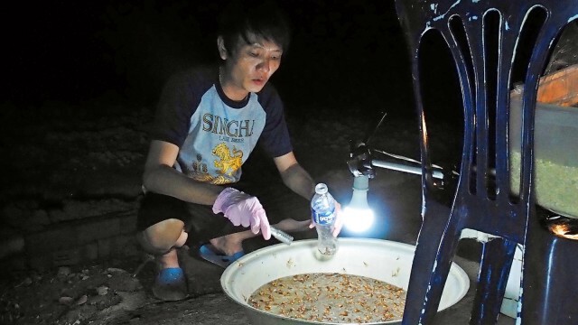 หนุ่มสู้ชีวิตเก็บ"แมงมัน"ขายสร้างรายได้เสริมช่วงโควิดระบาด