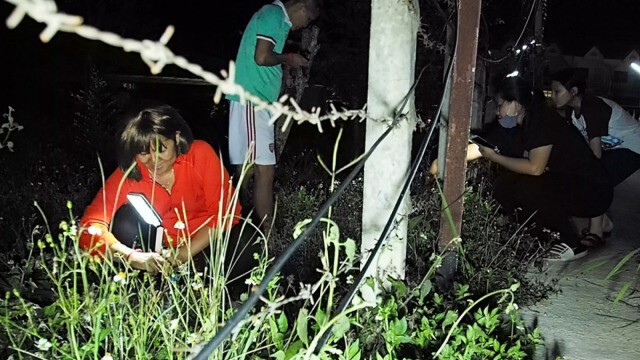 หนุ่มสู้ชีวิตเก็บ"แมงมัน"ขายสร้างรายได้เสริมช่วงโควิดระบาด