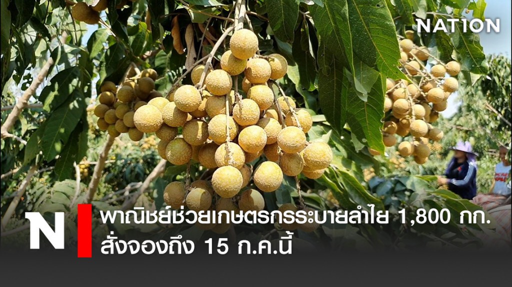 พาณิชย์ช่วยเกษตรกรระบายลำไย 1,800 กก. สั่งจองถึง 15 ก.ค.นี้