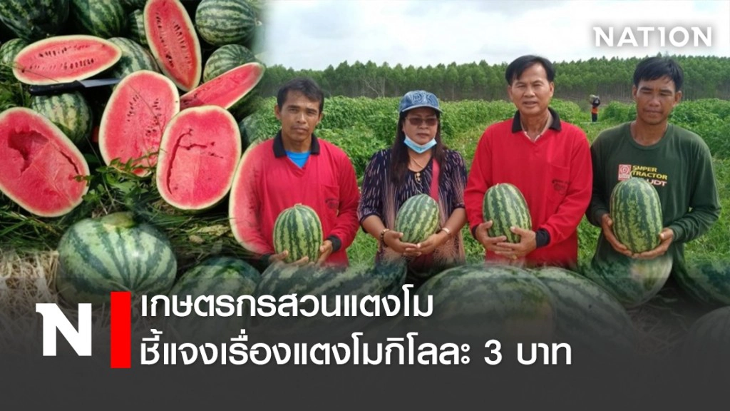 เกษตรกรสวนแตงโม ชี้แจงเรื่องแตงโมกิโลละ 3 บาท