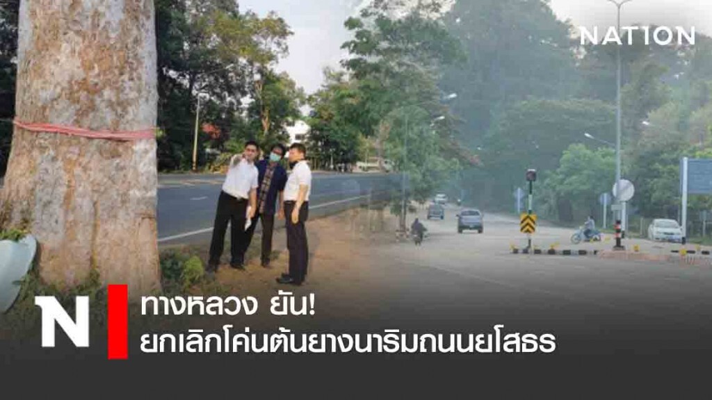 ทางหลวง ยัน! ยกเลิกโค่นต้นยางนาริมถนนยโสธร
