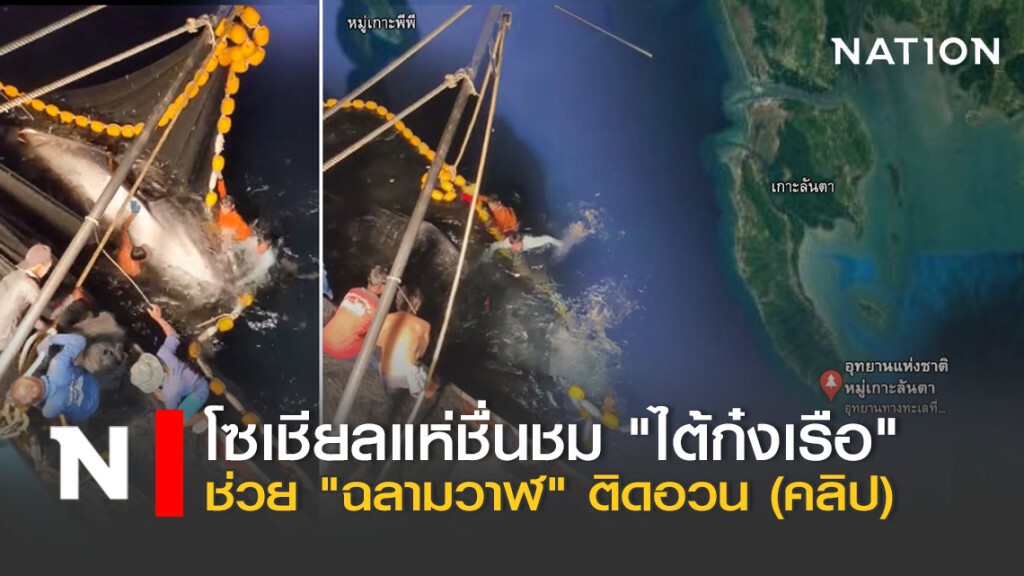 โซเชียลแห่ชื่นชม "ไต้ก๋งเรือ" ช่วย "ฉลามวาฬ" ติดอวน