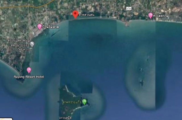 พบ "พะยูน" ว่ายน้ำหน้าหาดสวนสวน หลังมีรายงานไม่พบมานาน