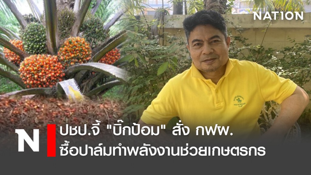 ปชป.จี้"บิ๊กป้อม"สั่งกฟผ.ซื้อปาล์มทำพลังงานช่วยเกษตรกร