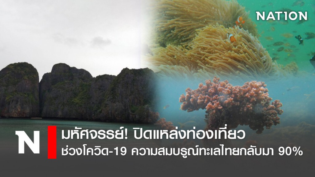 มหัศจรรย์! ปิดแหล่งท่องเที่ยวช่วงโควิด-19 ความสมบรูณ์ทะเลไทยกลับมา 90%
