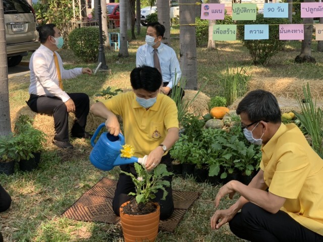 สื่อดังญี่ปุ่นชื่นชม "แผน 90 วันปลูกผักสวนครัว"  ช่วยคนไทยช่วงวิกฤตโควิด-19