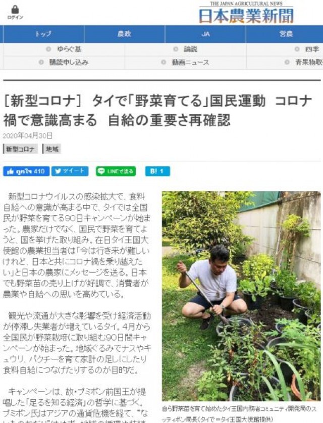 สื่อดังญี่ปุ่นชื่นชม "แผน 90 วันปลูกผักสวนครัว"  ช่วยคนไทยช่วงวิกฤตโควิด-19