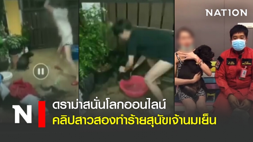 ดราม่าสนั่นโลกออนไลน์ คลิปสาวสองทำร้ายสุนัขเจ้านมเย็น