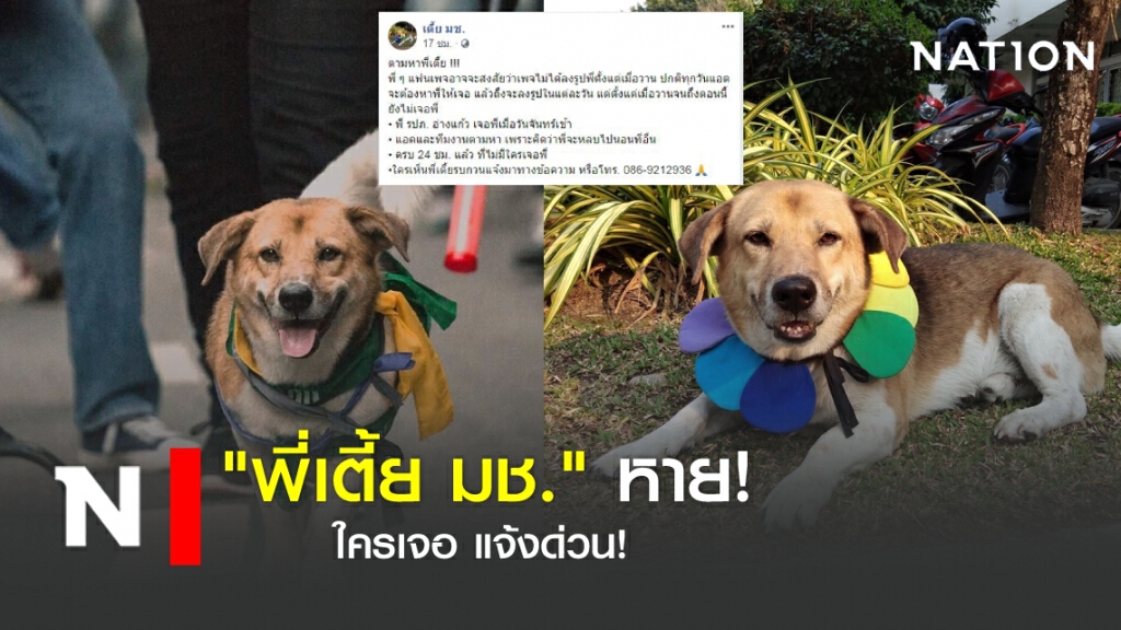 "พี่เตี้ย มช." หาย!  ใครเจอแจ้งเบาะแสด่วน!
