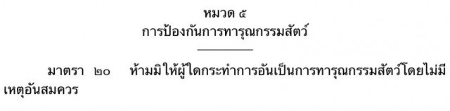 คนเลี้ยง"สัตว์"ต้องรู้! ดูแลชุ่ยๆเจอโทษหนัก