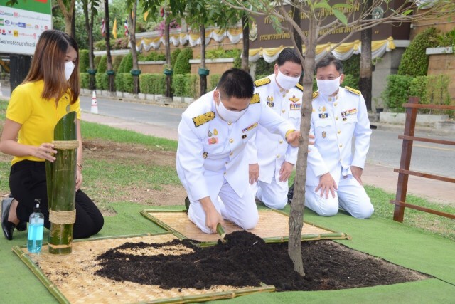 ทส.ชวนปลูกต้นไม้เนื่องในวันต้นไม้ประจำปีของชาติ