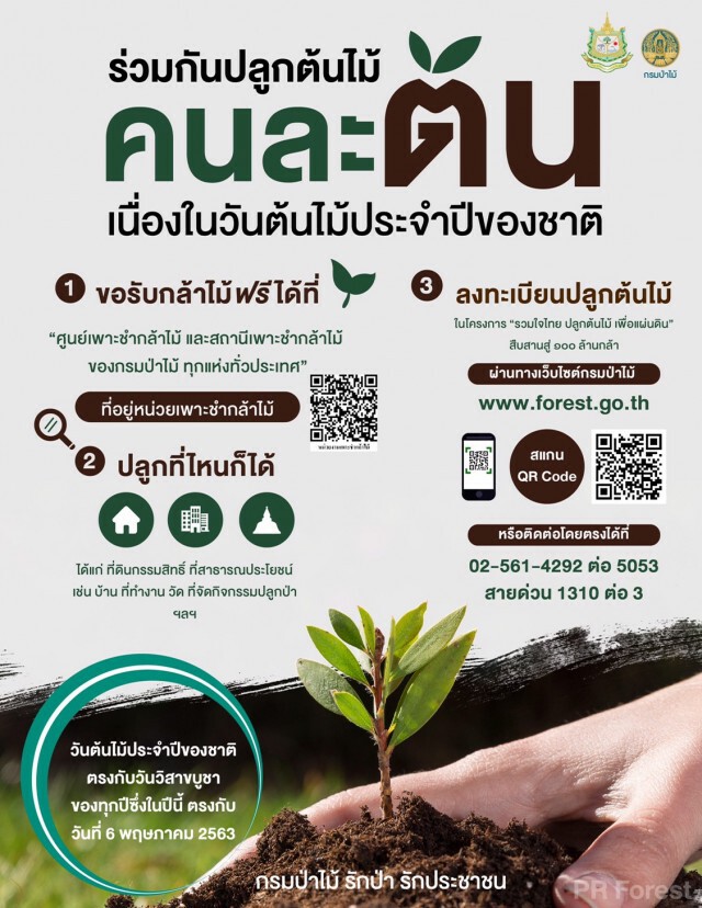 ทส.ชวนปลูกต้นไม้เนื่องในวันต้นไม้ประจำปีของชาติ