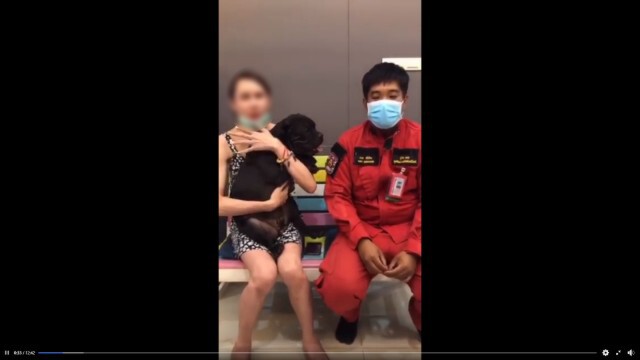 ดราม่าสนั่นโลกออนไลน์ คลิปสาวสองทำร้ายสุนัขเจ้านมเย็น
