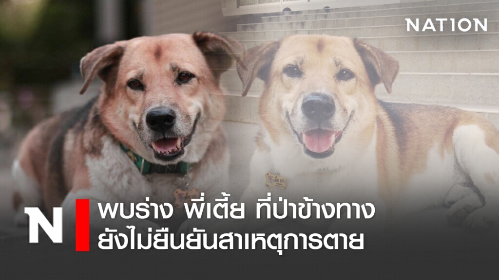 พบร่าง "พี่เตี้ย" ในป่าข้างทาง ยังไม่ยืนยันสาเหตุการตาย