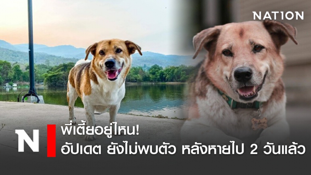 ยังไม่พบตัว "พี่เตี้ย มช." หลังหายตัวไปกว่า 2 วัน ยังไม่พบตัว "พี่เตี้ย มช." หลังหายตัวไปกว่า 2 วัน
